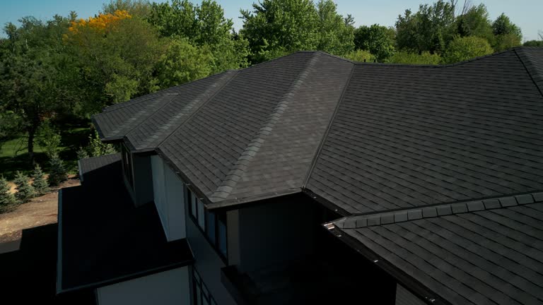 Best Chimney Flashing Repair  in Lillington, NC