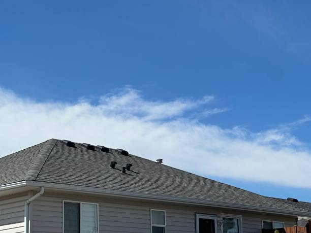 Best Gutter Installation and Repair  in Lillington, NC